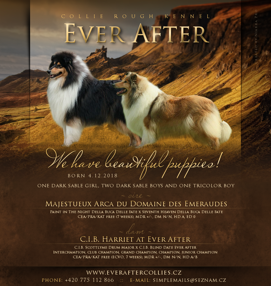 ever after vrh y letacek